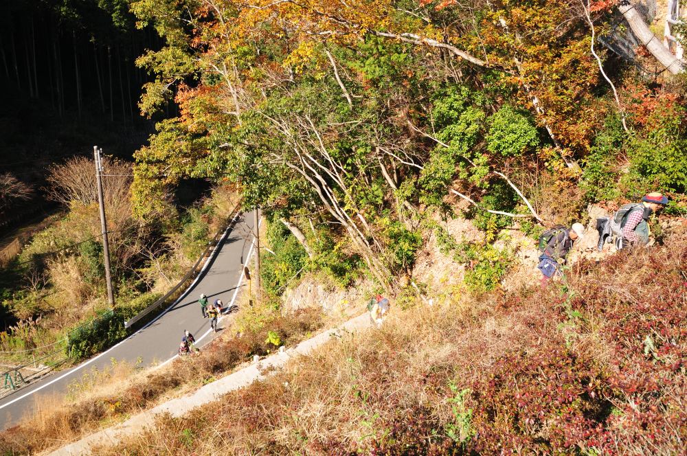 f:id:hikojima:20201208090623j:plain