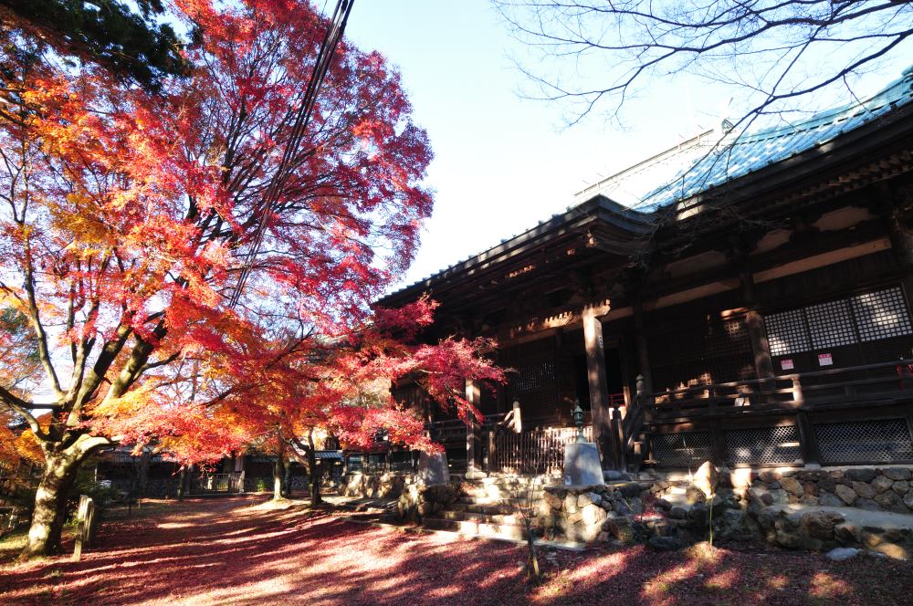 f:id:hikojima:20201208090640j:plain