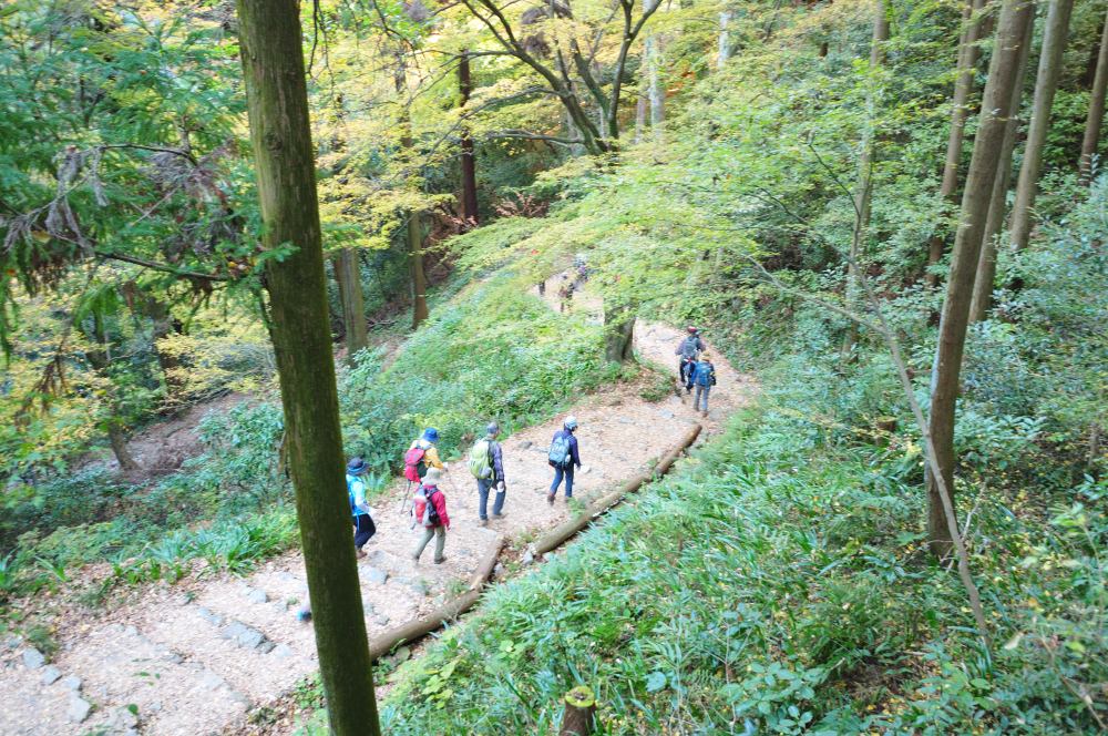 f:id:hikojima:20201208090658j:plain