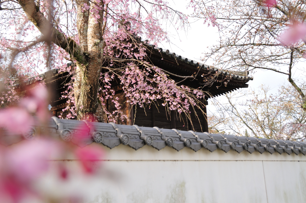 f:id:hikojima:20210325090333j:plain