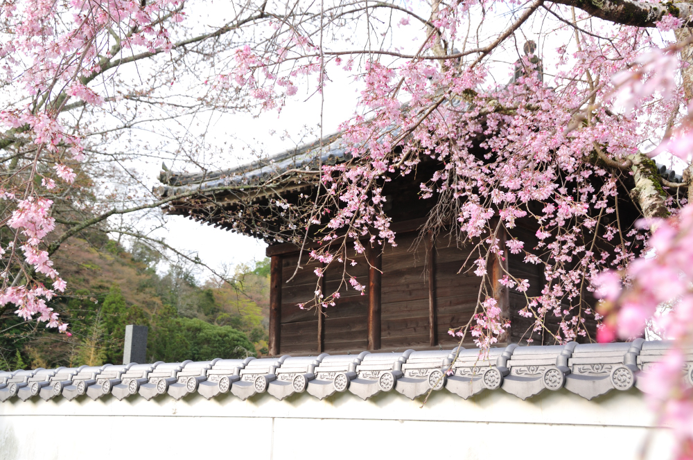 f:id:hikojima:20210325090335j:plain