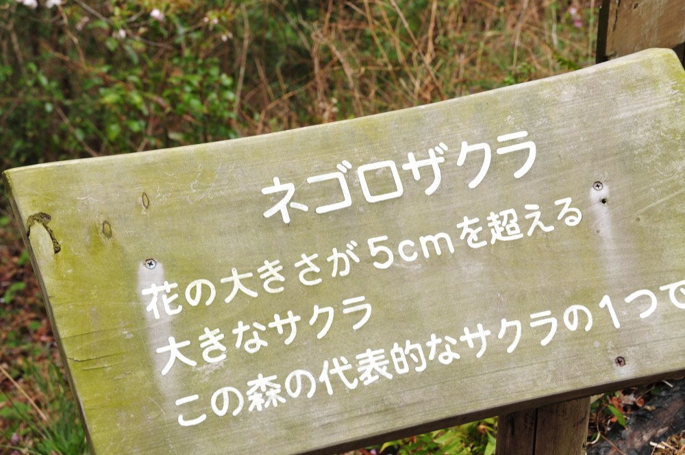 f:id:hikojima:20210325090350j:plain