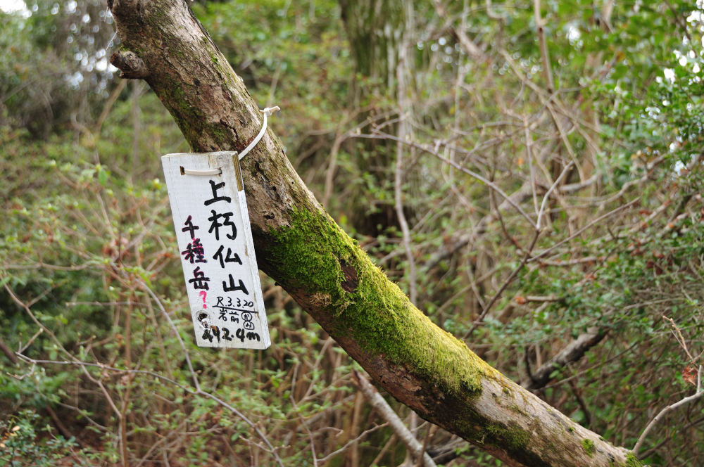 f:id:hikojima:20210325090403j:plain