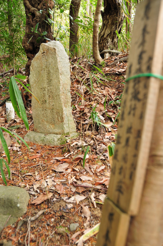 f:id:hikojima:20210325090428j:plain