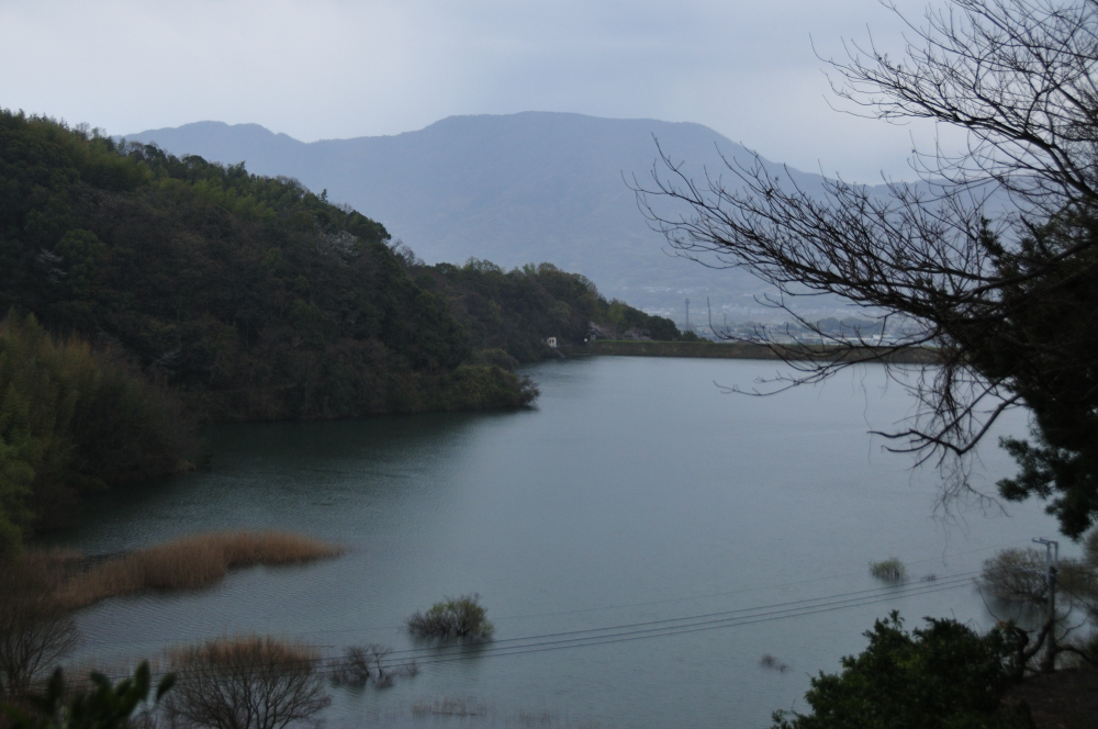 f:id:hikojima:20210325090433j:plain