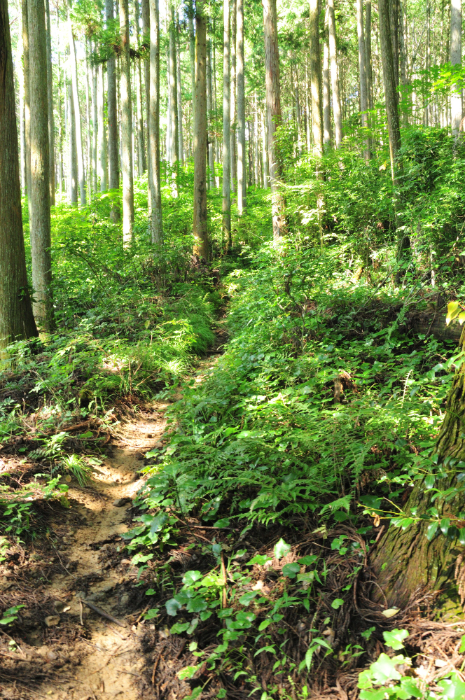 f:id:hikojima:20210924194148j:plain