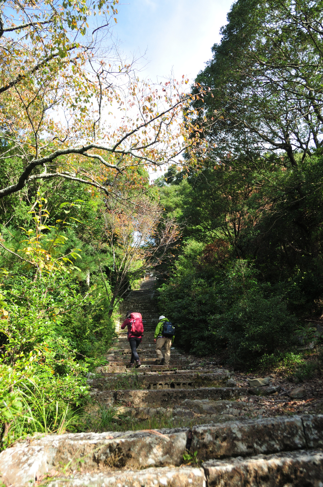 f:id:hikojima:20211025170908j:plain