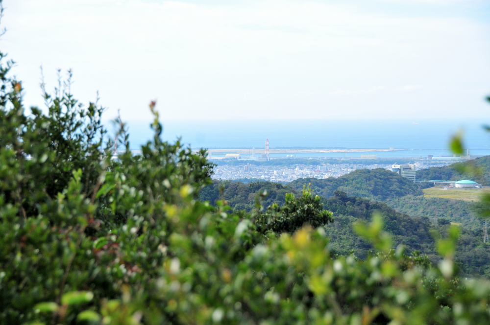 f:id:hikojima:20211025170921j:plain