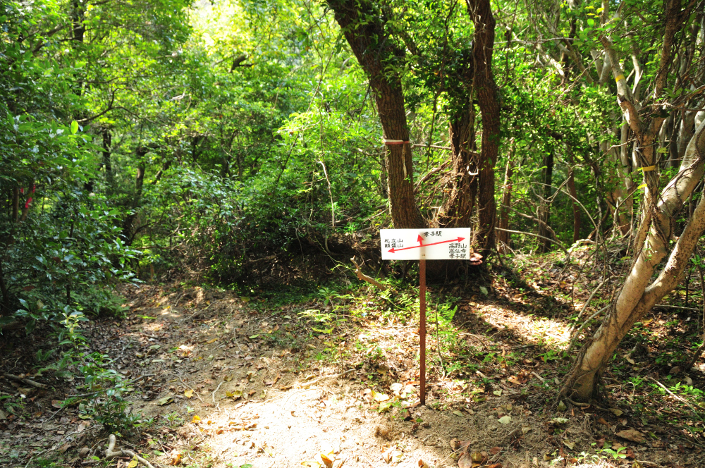 f:id:hikojima:20211025170926j:plain