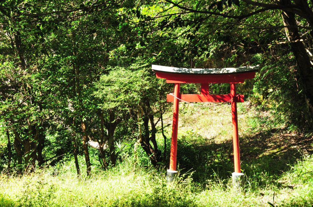 f:id:hikojima:20211025170930j:plain