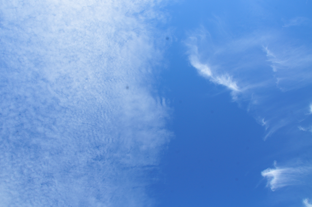 f:id:hikojima:20211025170938j:plain