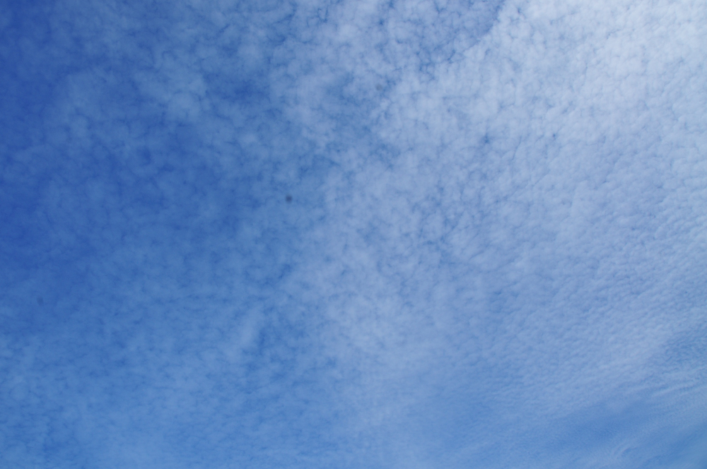 f:id:hikojima:20211025170942j:plain