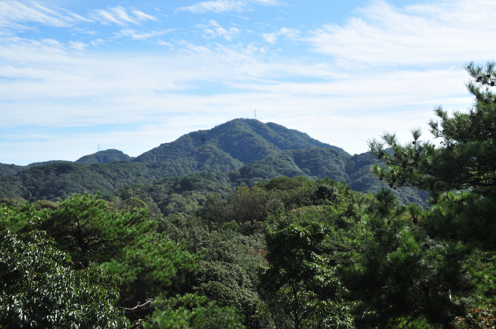 f:id:hikojima:20211025170950j:plain