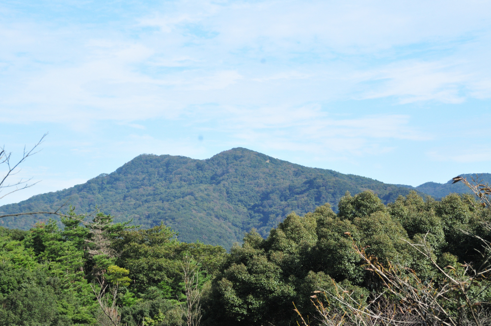 f:id:hikojima:20211025170954j:plain