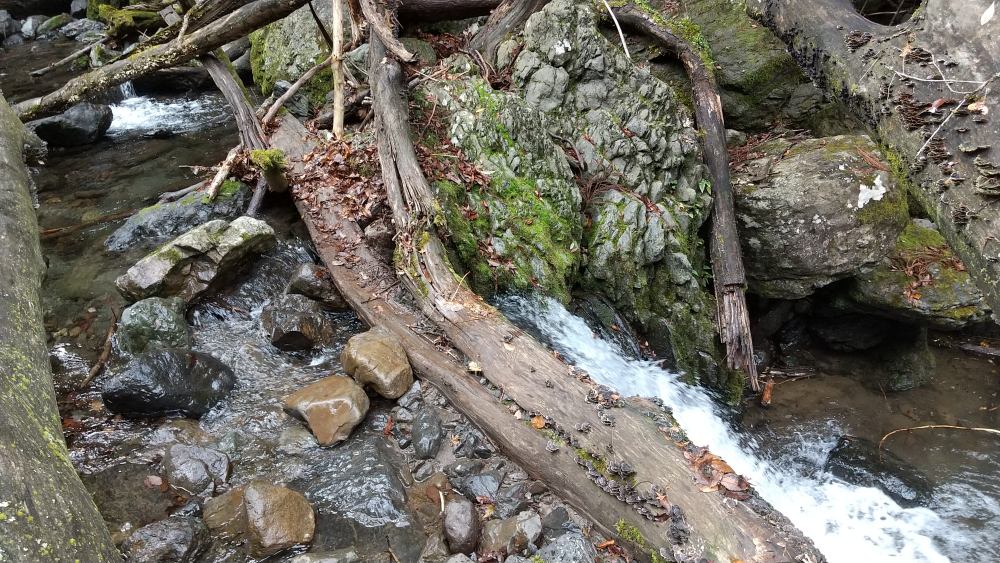 f:id:hikojima:20211220213024j:plain