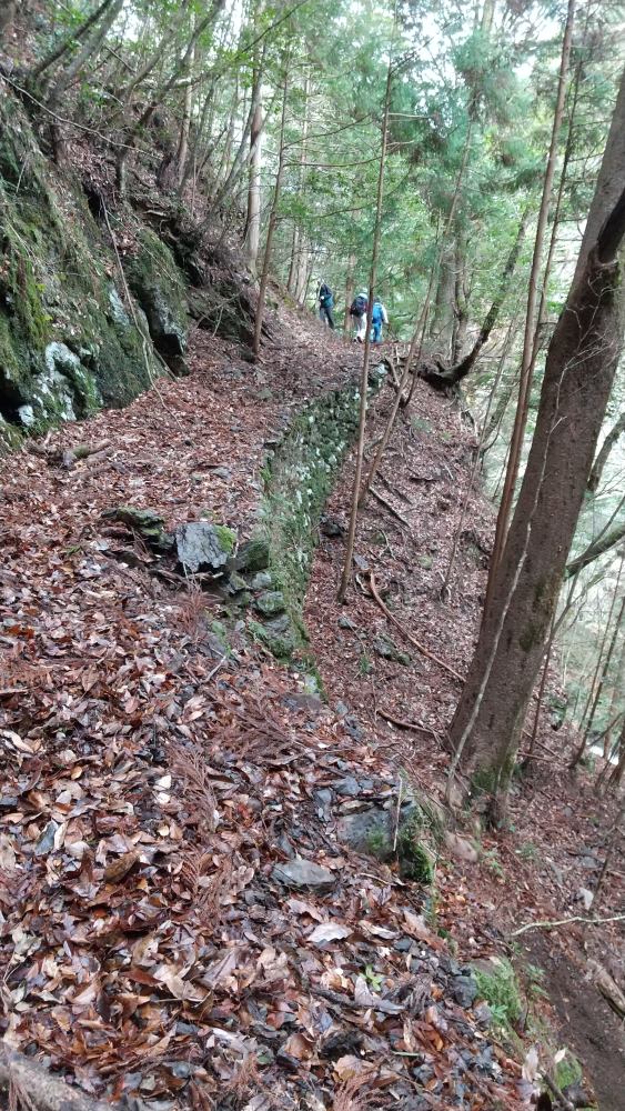 f:id:hikojima:20211220213029j:plain