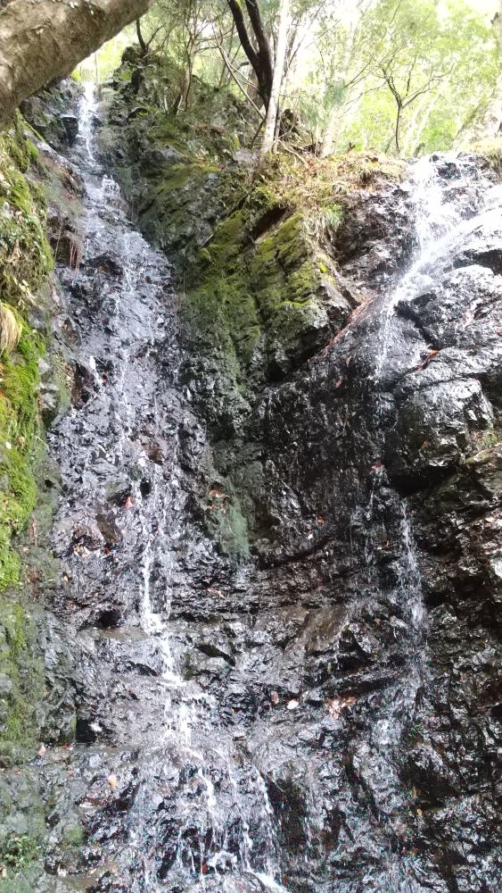 f:id:hikojima:20211220213032j:plain