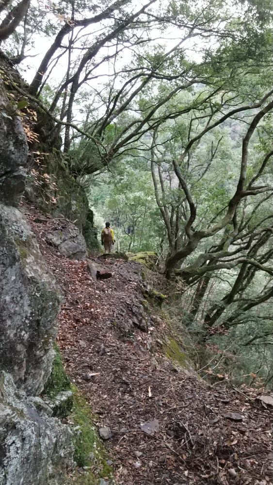 f:id:hikojima:20211220213036j:plain