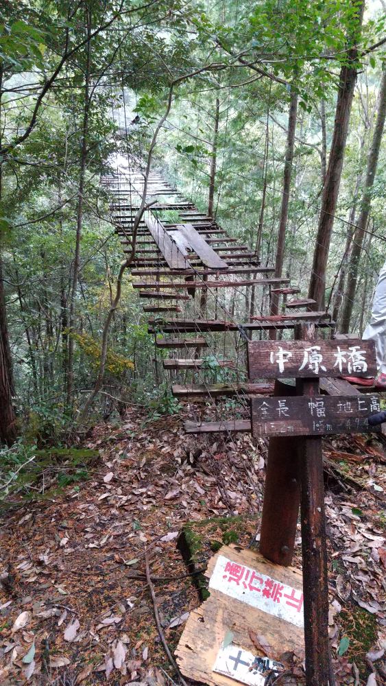 f:id:hikojima:20211220213040j:plain