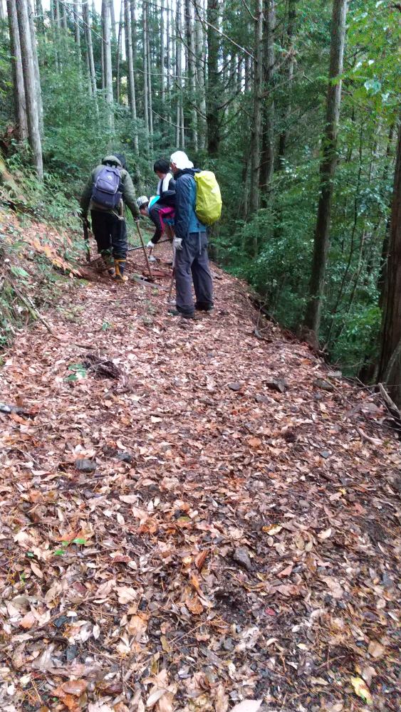 f:id:hikojima:20211220213055j:plain