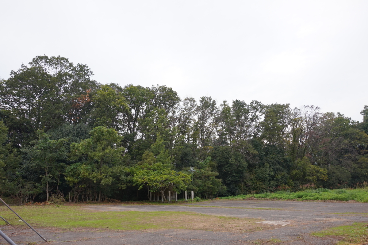 f:id:hikona2:20191119225855j:plain f:id:hikona2:20191119225855j:plain