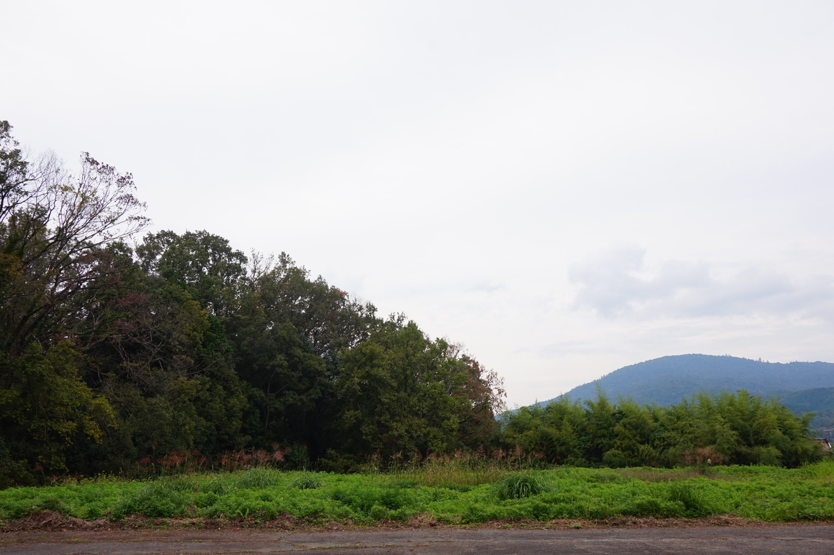 f:id:hikona2:20191119230455j:plain f:id:hikona2:20191119230455j:plain