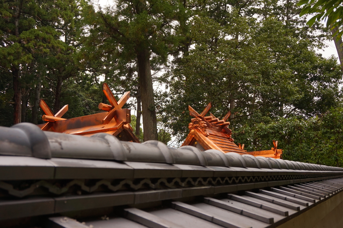 f:id:hikona2:20191119233432j:plain f:id:hikona2:20191119233432j:plain