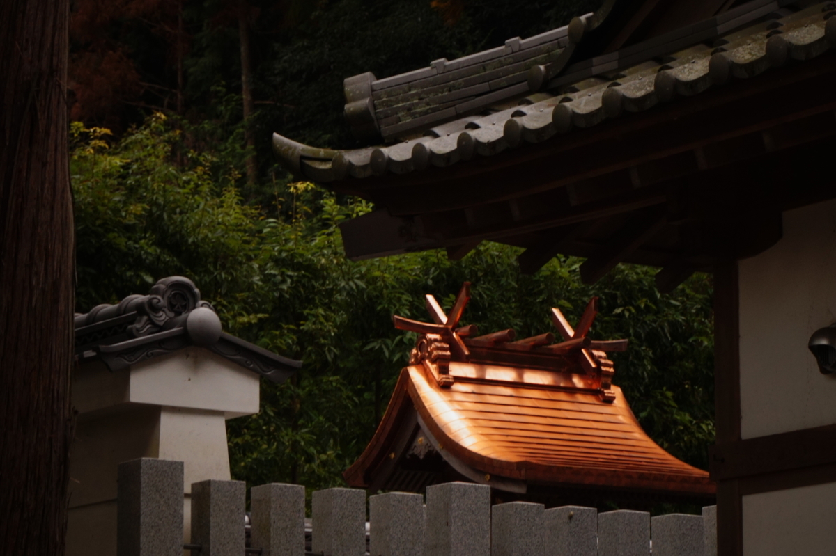 f:id:hikona2:20191119233532j:plain f:id:hikona2:20191119233532j:plain