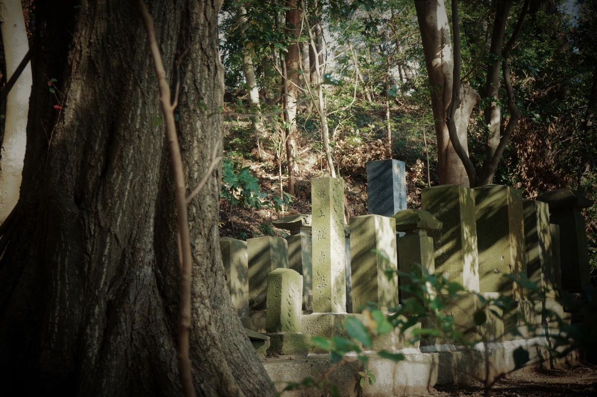 f:id:hikona2:20220108214910j:plain