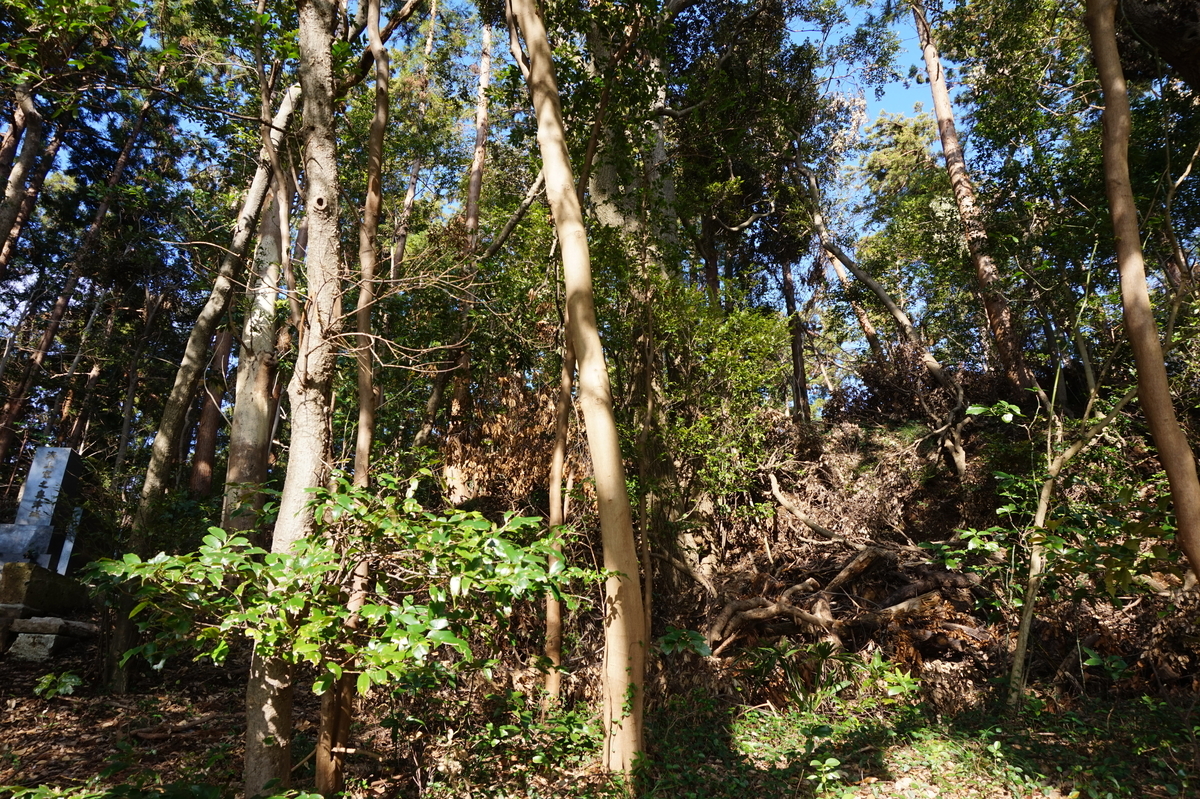 f:id:hikona2:20220108215042j:plain