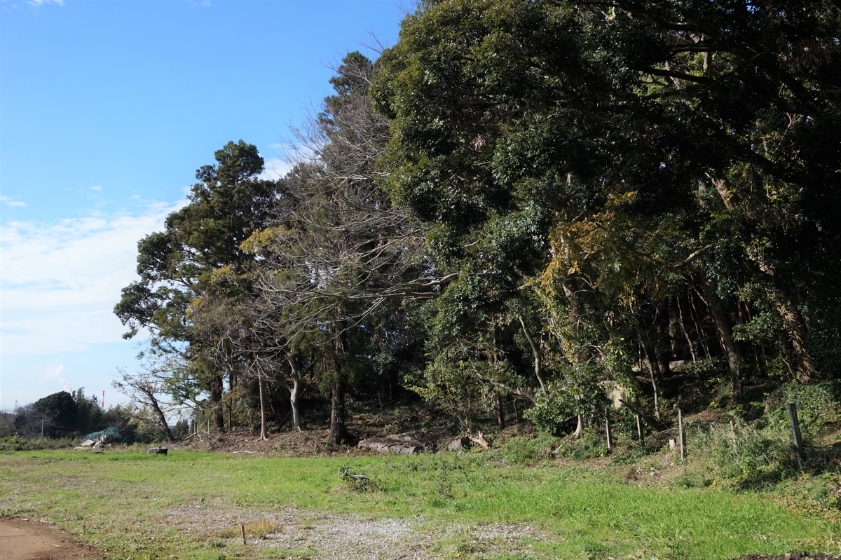 f:id:hikona2:20220108215709j:plain