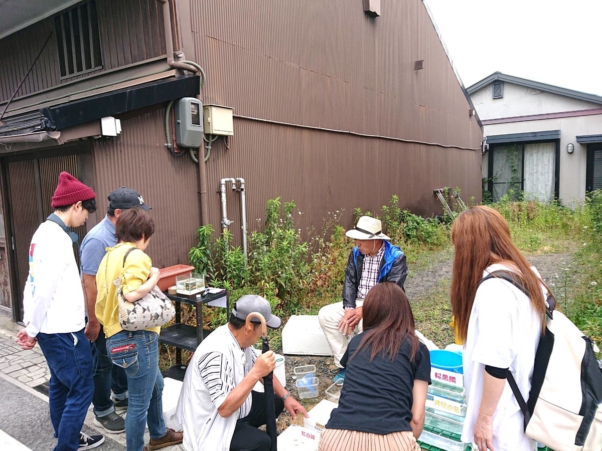 f:id:hikonecityijuconcierge:20190611105542j:plain f:id:hikonecityijuconcierge:20190611105542j:plain