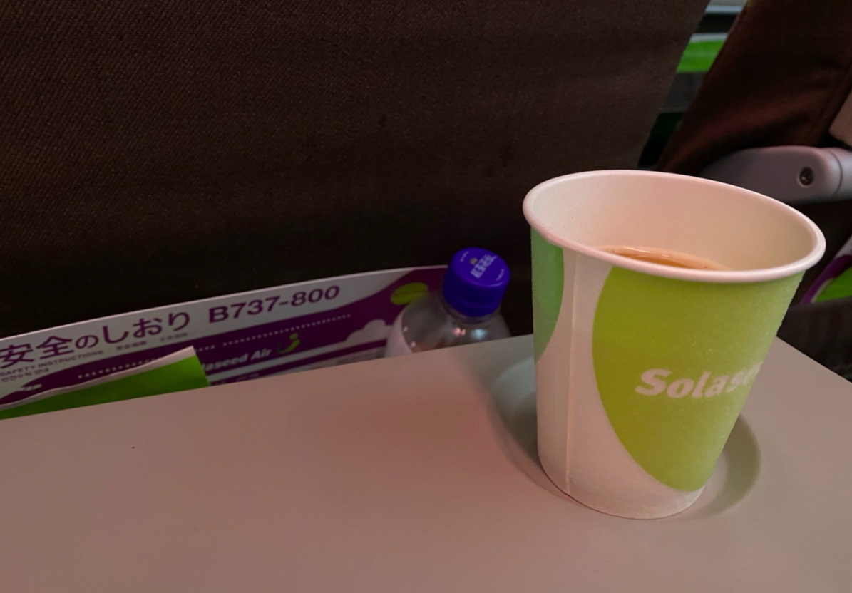 f:id:hikouki2saaaan:20201210163940p:plain