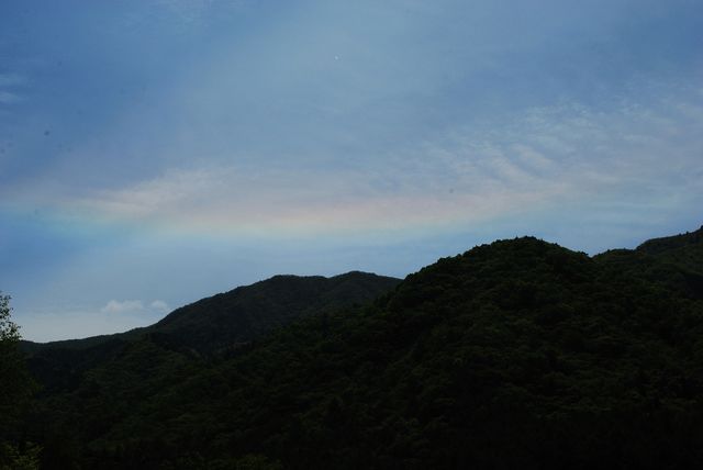 フォト
