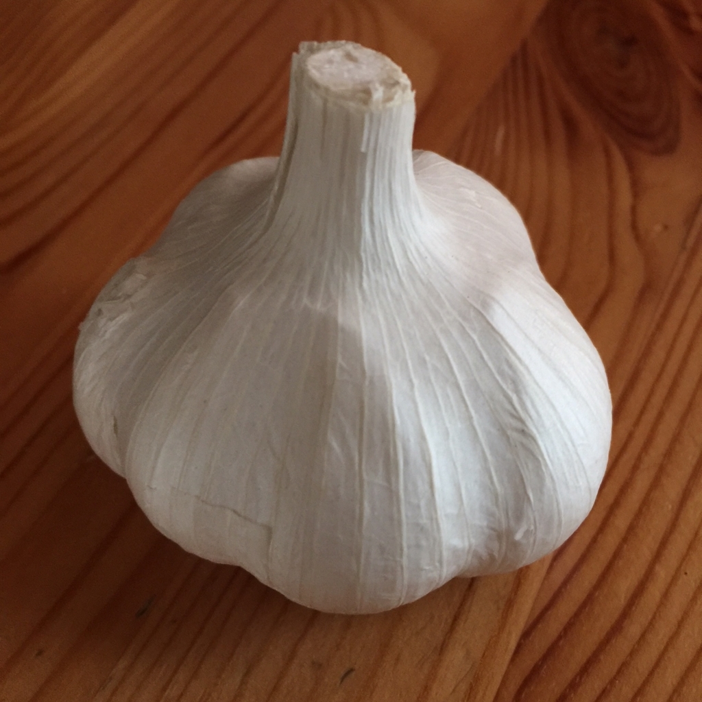 f:id:hikozou_003:20180817144940j:plain