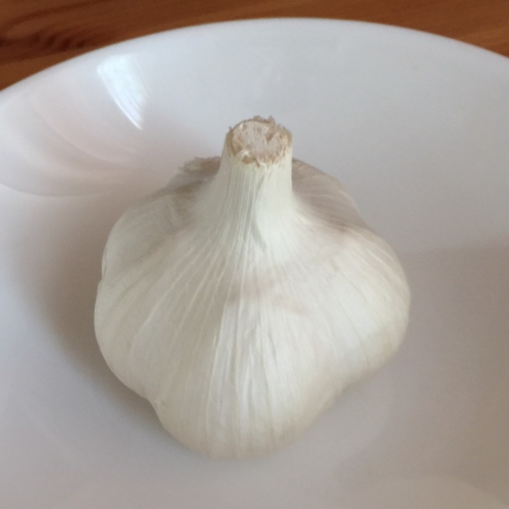 f:id:hikozou_003:20180818205735j:plain f:id:hikozou_003:20180818205735j:plain