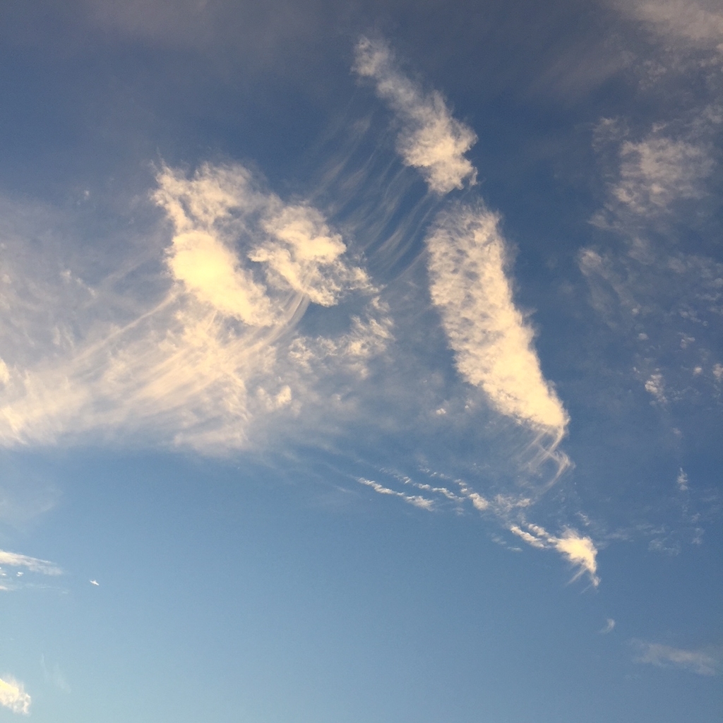 f:id:hikozou_003:20180905225118j:plain