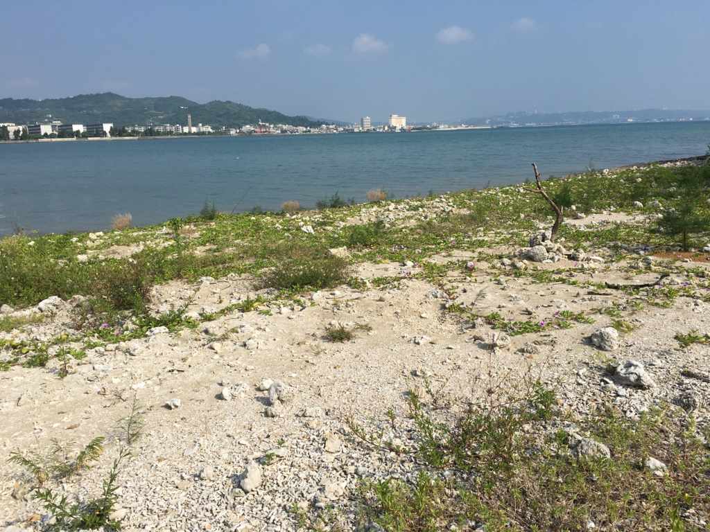 f:id:hikyo-wo-write:20160820141654j:plain f:id:hikyo-wo-write:20160820141654j:plain