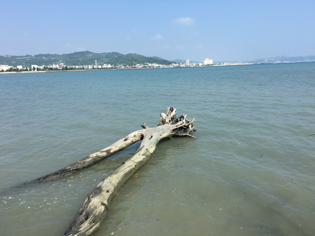 f:id:hikyo-wo-write:20160820200329j:plain f:id:hikyo-wo-write:20160820200329j:plain