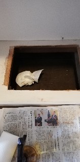 f:id:hikyosyua:20210910153515j:image