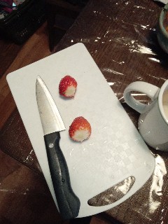 f:id:hikyosyua:20240225155358j:image f:id:hikyosyua:20240225155358j:image