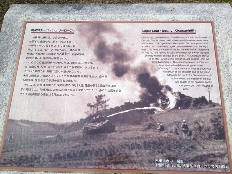 f:id:hilapon:20140705161554j:image:w500