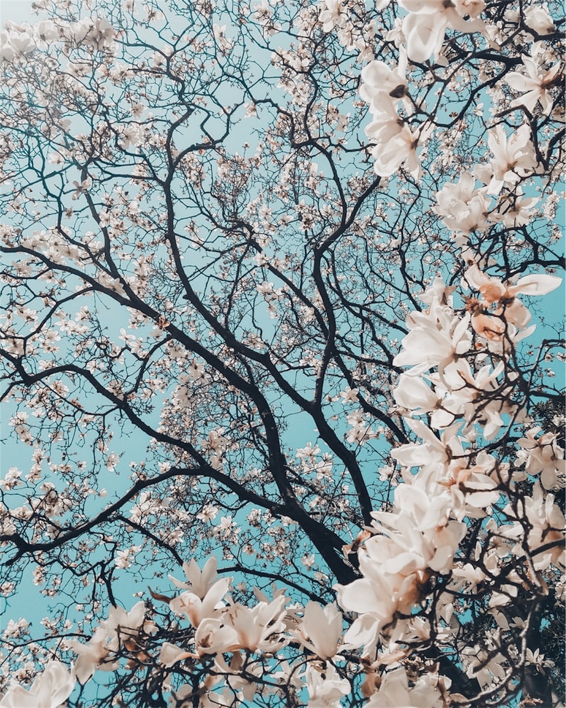 f:id:hill-jyun:20200312064123j:image