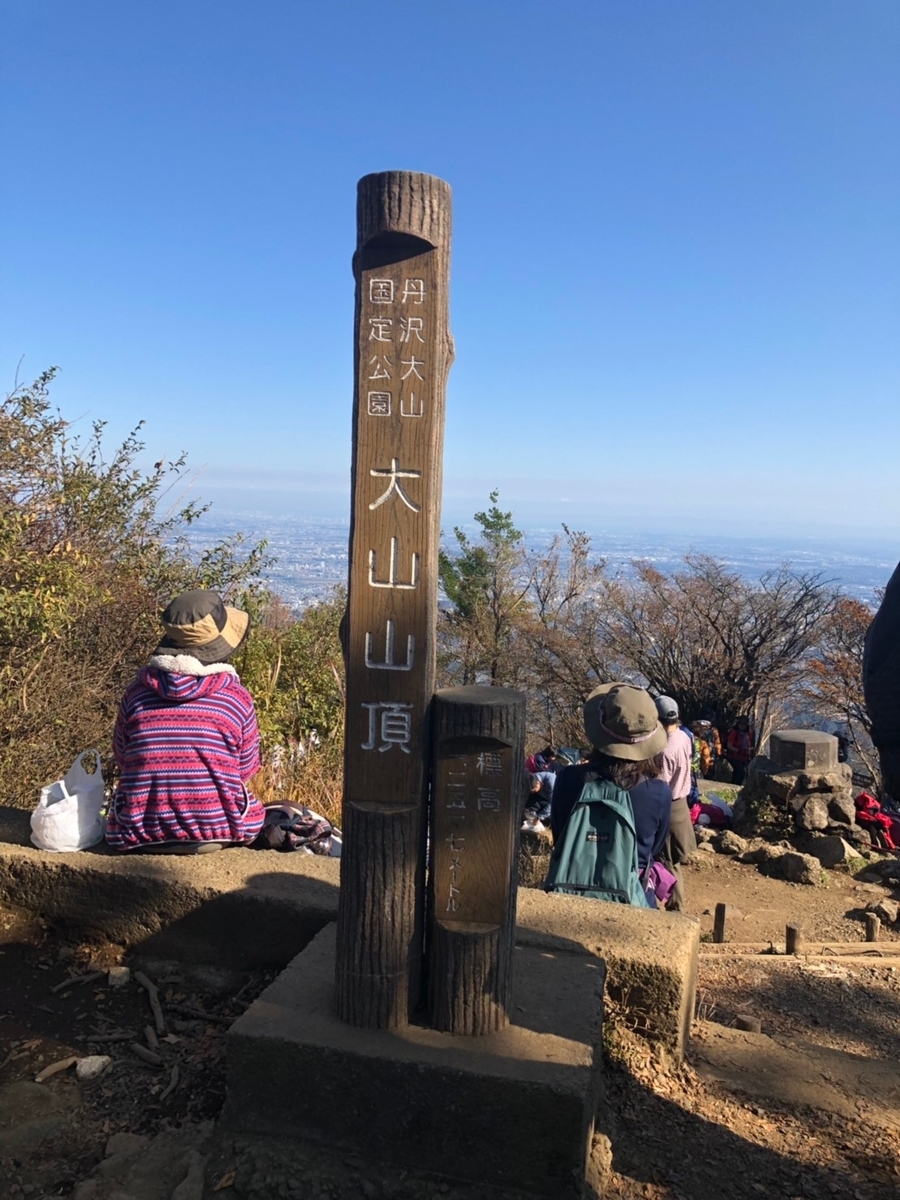 f:id:hillofthesummit:20191117182226j:plain f:id:hillofthesummit:20191117182226j:plain