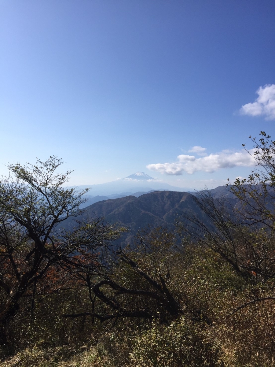 f:id:hillofthesummit:20191117182313j:plain f:id:hillofthesummit:20191117182313j:plain