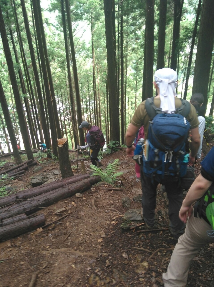 f:id:hillofthesummit:20200708231129j:plain