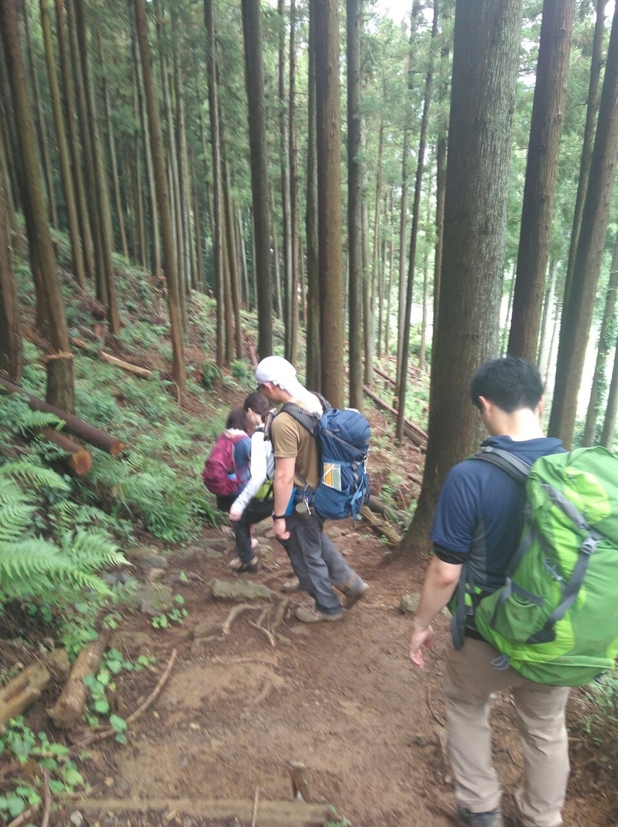 f:id:hillofthesummit:20200708233314j:plain