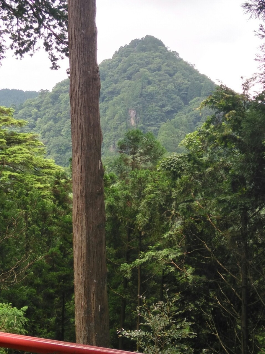 f:id:hillofthesummit:20200718212247j:plain f:id:hillofthesummit:20200718212247j:plain