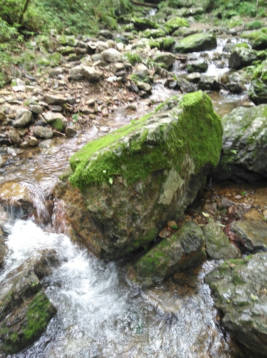 f:id:hillofthesummit:20200718225018j:plain