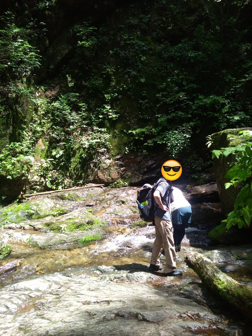f:id:hillofthesummit:20200719111742j:plain